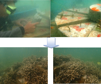 upcoming-events-img-1