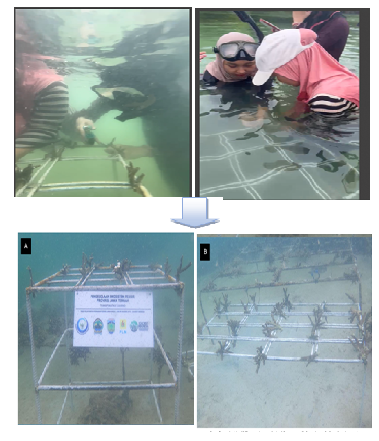 upcoming-events-img-1