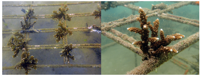 upcoming-events-img-1