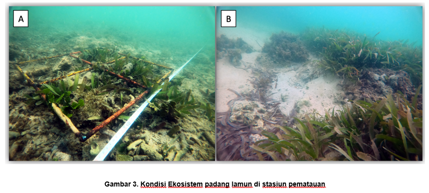 upcoming-events-img-1