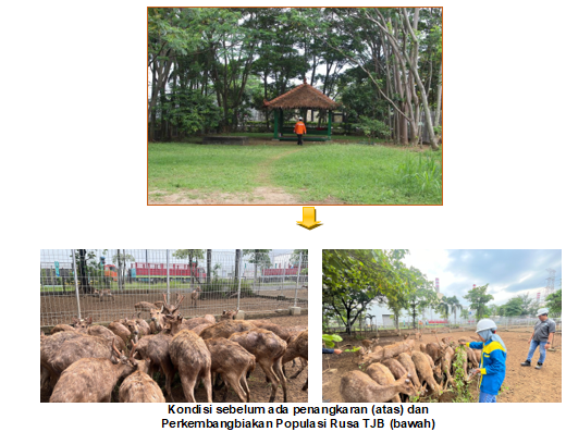 upcoming-events-img-1