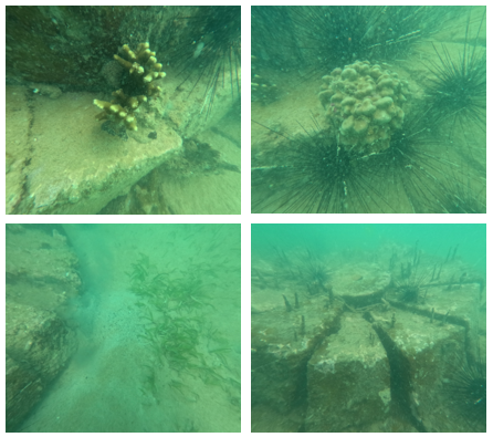 upcoming-events-img-1