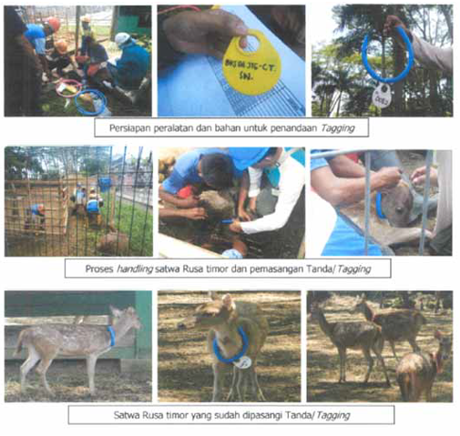 upcoming-events-img-1