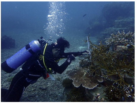 upcoming-events-img-1