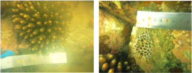 upcoming-events-img-1