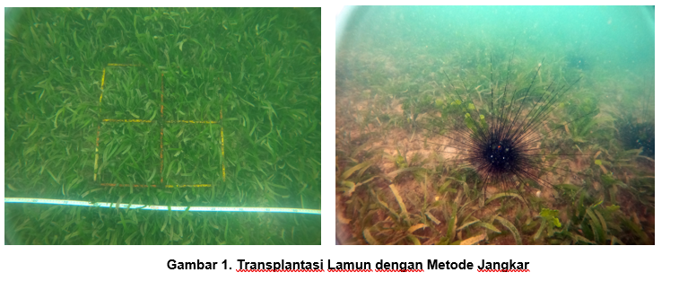 upcoming-events-img-1