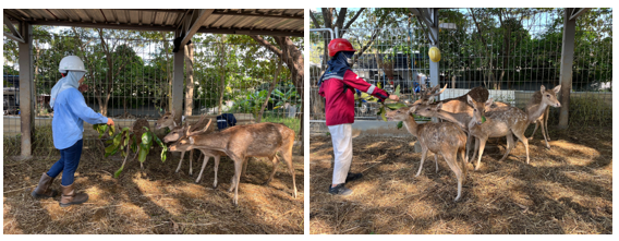 upcoming-events-img-1